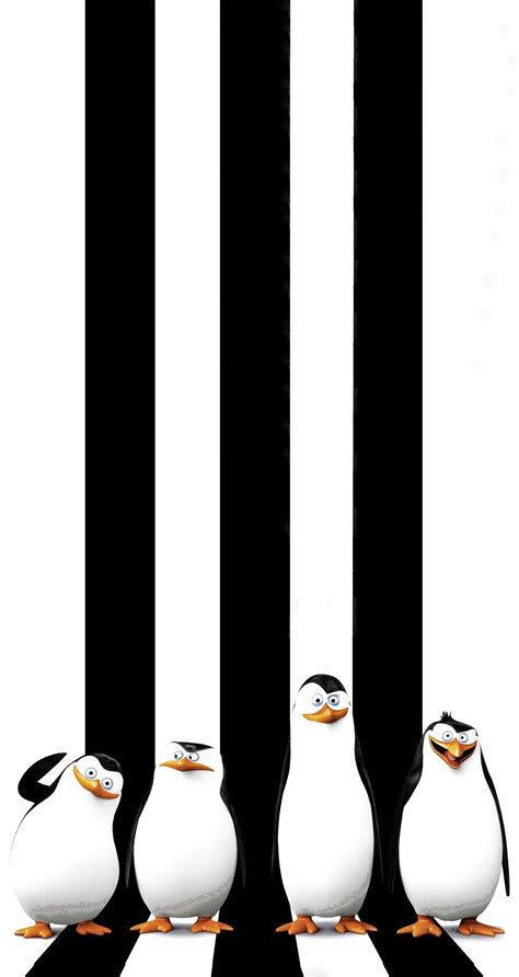 Pinterest | Penguin wallpaper, Wallpaper iphone cute, Iphone wallpaper