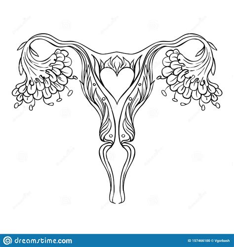 Decorative Drawing Of Female Reproductive System With Flowers Hand Drawn Uterus Womb Girl