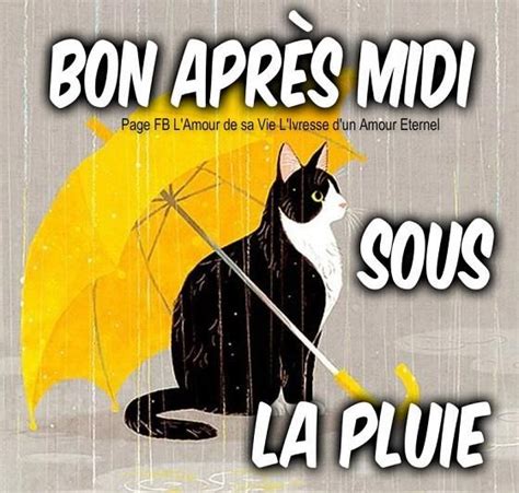 Bon après midi Images photos et illustrations gratuites pour