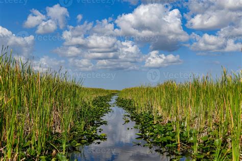 Florida wetland in the Everglades National Park in USA. Popular place ...