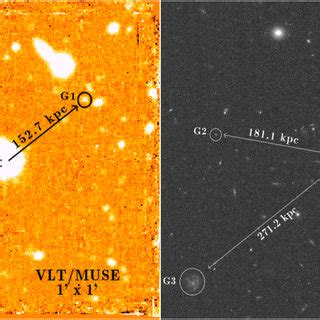 A The Vlt Muse Left Panel And Hst Acs Right Panel Images Of The