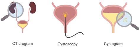 Abdominal Ct Cystogram • Litfl • Radiology Library