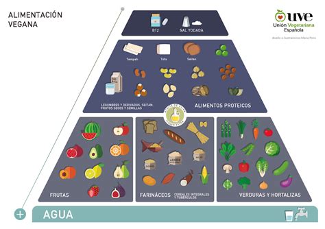 Pirámide de la alimentación vegana - Unión Vegetariana Española (UVE)