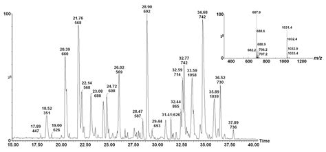 Enhancement Of The Etd Product Ion Yield Using Supplemental Activation