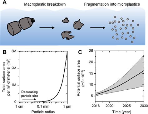 A Schematic Of Microplastic Breakdown In The Environment B