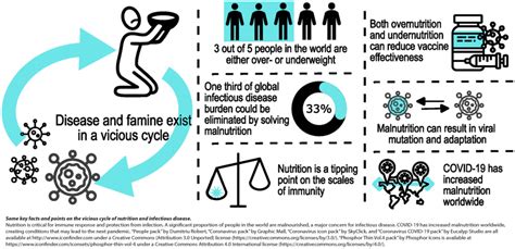 The Vicious Cycle Of Nutrition And Infectious Disease Highlighted In A