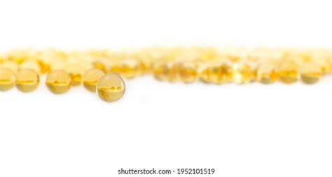 26 Gelatinous Sheath Images Stock Photos And Vectors Shutterstock