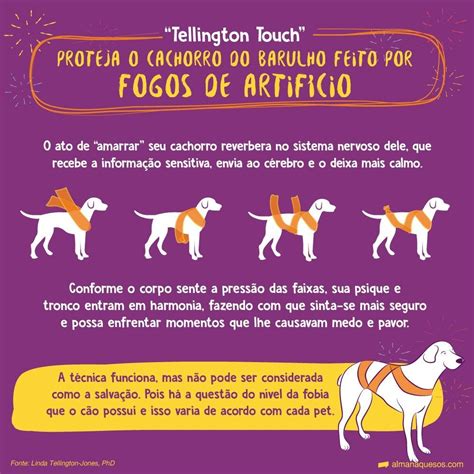 Como Proteger Seu C O Do Barulho Dos Fogos Cuidados Para Animais De