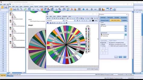 Creating Pie Charts In Spss Youtube