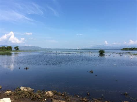 Mau Ara Reservoir stock image. Image of nature, udawalawe - 73842427