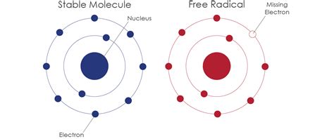 Free Radicals: Enemies Within. What Are They And How Are They Formed - Look Feel Better Today