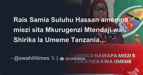 Rais Samia Suluhu Hassan Amempa Miezi Sita Mkurugenzi Mtendaji Wa