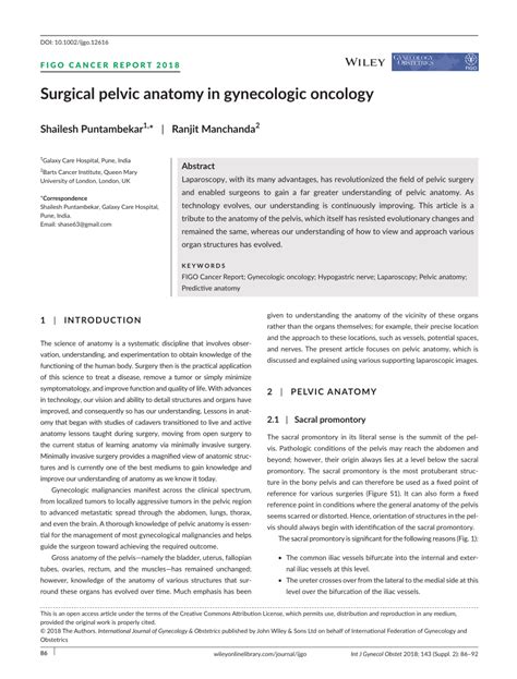 Pdf Surgical Pelvic Anatomy In Gynecologic Oncology