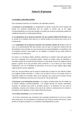 Tema El Proceso Docx Pdf