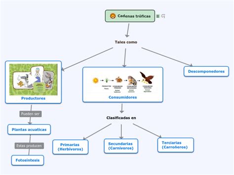 Leg Timo Secretario Mal Humor Cadenas Y Redes Troficas Mapa Conceptual