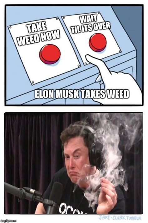 Elon Musk Takes Weed Imgflip