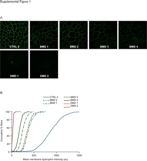 A Sensitive Reproducible And Objective Immunofluorescence Analysis