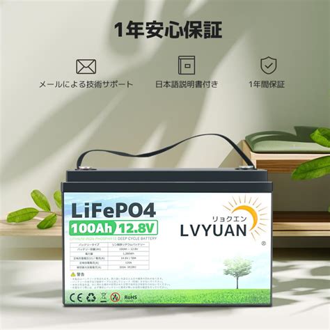 Lvyuanlifepo4（リン酸鉄リチウム）電池 リチウムイオンバッテリー 12v 100ah 1280wh Lv 100ah