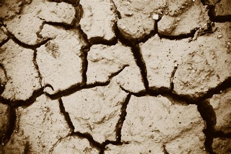 Cracks Of The Dried Soil In Arid Season Arid Soil Cracked Earth