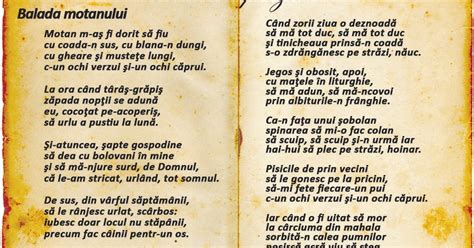 Moara Lui Gelu Lumea Poeziilor Nichita Stănescu