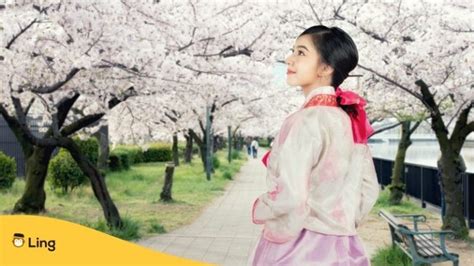 #1 Best Guide: Jinhae Cherry Blossom Festival - ling-app.com