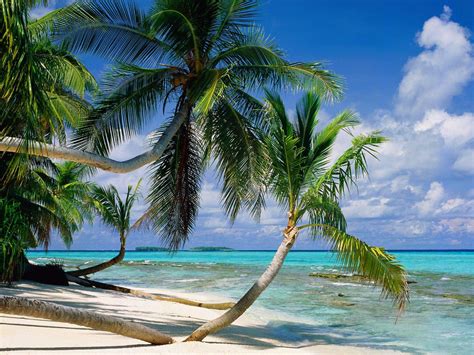 Tuvalu Wallpapers Wallpaper Cave