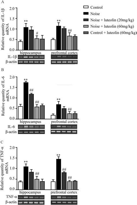 Effect Of Luteolin On Pro Inflammatory Cytokines In Hippocampus And Download Scientific Diagram