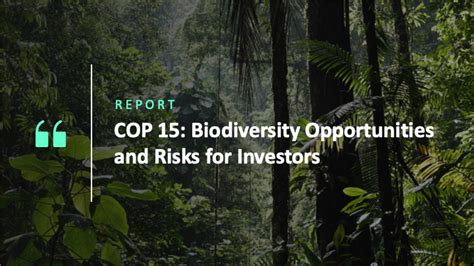 Cop Biodiversity Opportunities And Risks For Investors