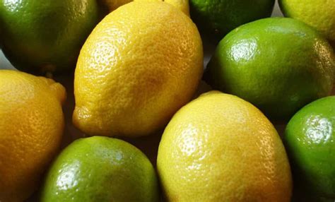 Limaos Ou Limoes - Qual a diferença entre limas e limões? – Zona Curiosa