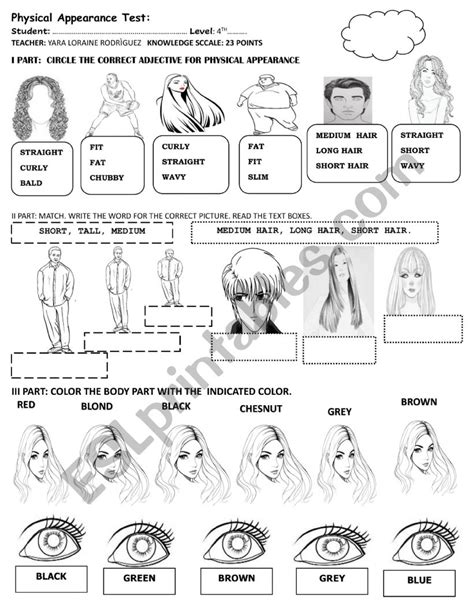 Physical Appearance Test Esl Worksheet By Yara Loraine Rodrìguez