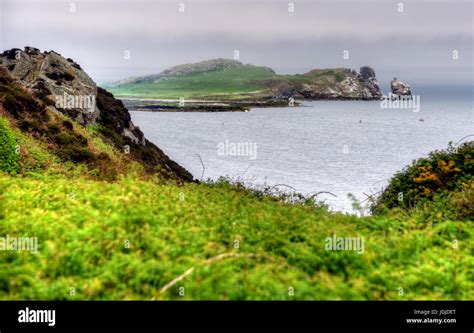 The Howth Cliff Walk outside of Dublin, Ireland Stock Photo - Alamy