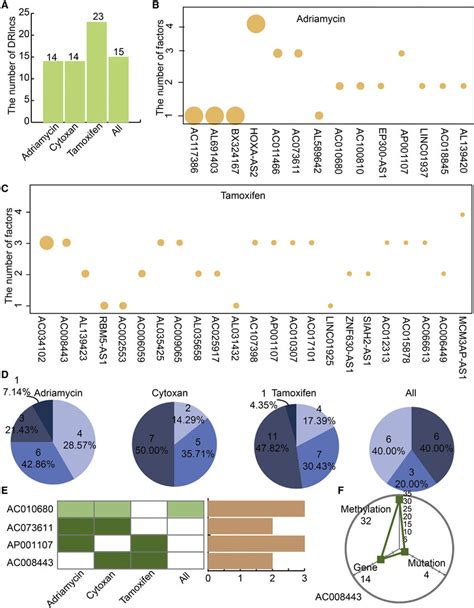 Identification Of Individual Drlncs Based On Multi Omics Data