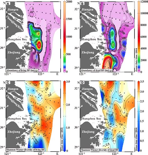 Frontiers Comparison Of Alive And Dead Benthic Foraminiferal Fauna