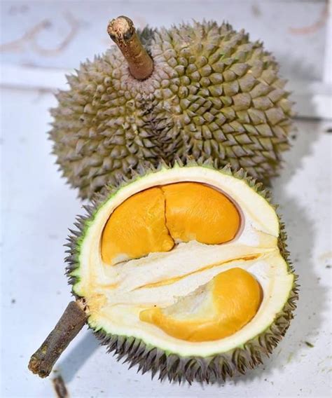 Best Restaurant To Eat Malaysian Food Travel Blog Durian King Of