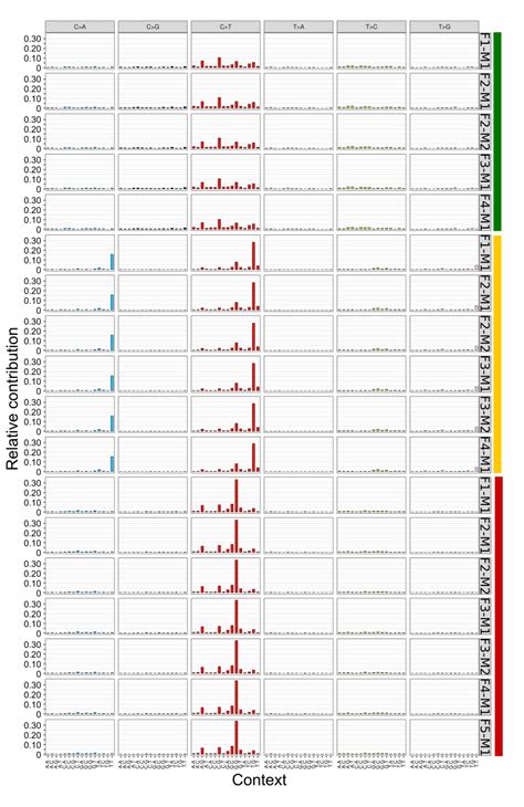 Fig S Analysis Of Mutational Signatures In Patient Derived