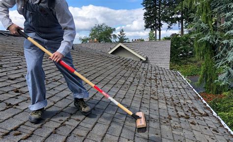 Clean Roof Shingles Top 6 Tips And Best Helpful Guide