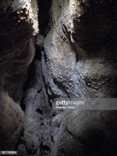 Parque Nacional Wind Cave Fotografías E Imágenes De Stock Getty Images