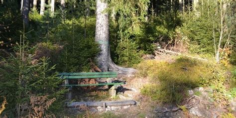 An Der Talsperre Eibenstock Hundsh Bler Rundwanderweg Touren