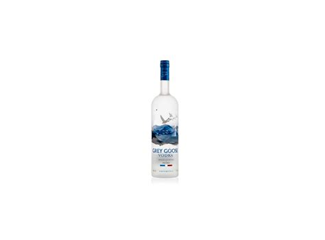 Buy Vodka Grey Goose 6l Campoluz Enoteca