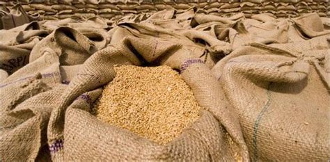 Cm Punjab Approves Wheat Supply To Balochistan