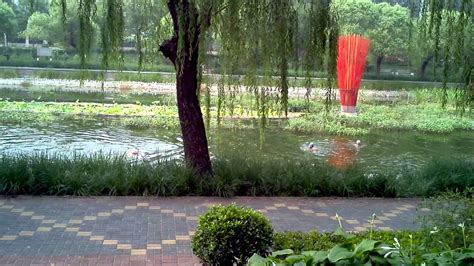 Swimming In The LiangMa River Beijing YouTube