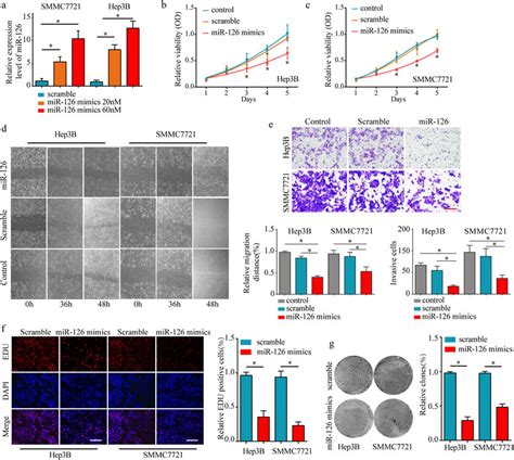 Over Expression Of Mir 126 Suppress The Tumor Cell Proliferation And