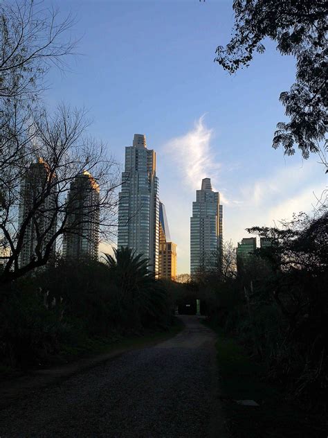 Skyline De Puerto Madero Desde El Interior De La Reserva Ecológica De Buenos Aires Bahía César