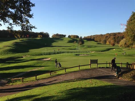 Golf Course Grassland Golf Club Structure Picture Image 124708646