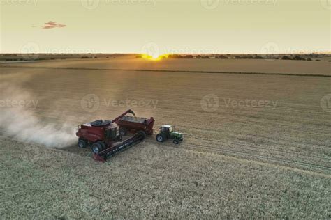 Wheat Harvest In The Argentine Countryside La Pampa Province