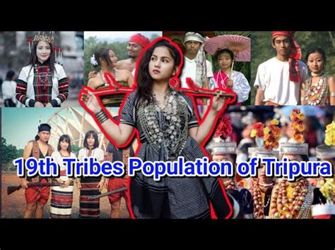 19th Dopha Sabo Sabo Kwlai Tei Population Bwswk Tong Chini Tripura