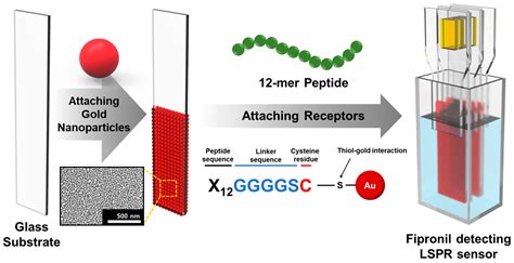 Biosensors Free Full Text Highly Specific Peptide Mediated Cuvette