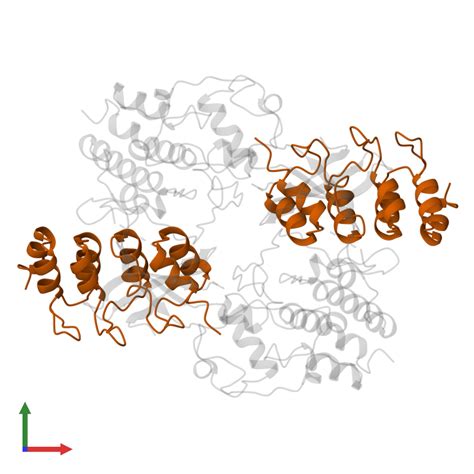 Pdb Bi Gallery Protein Data Bank In Europe Pdbe Embl Ebi