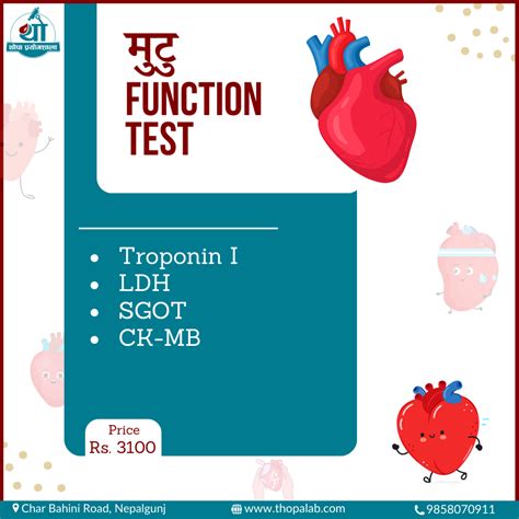 Cardiac Function Test - Thopa Premises