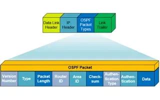 Ospf Part Ospf Neighbor States Ospf Neighbor Forming Process